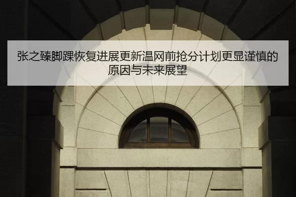张之臻脚踝恢复进展更新温网前抢分计划更显谨慎的原因与未来展望
